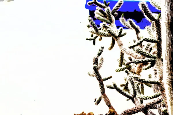 Illusztráció Csodálatos Trópusi Botanikus Kert Különböző Típusú Növények Tenyerek Kaktuszok — Stock Fotó