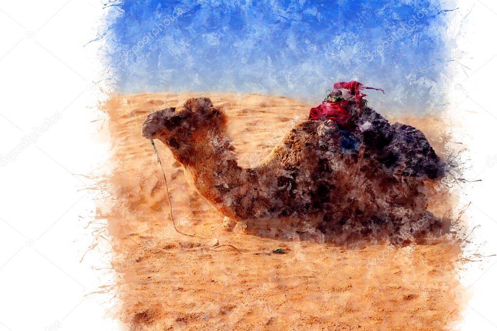 Watercolor drawing. Dromedary Camel sits on the sand in the Sahara Desert, resting. Tunisia