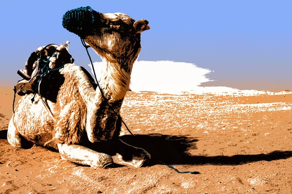 Ilustracja. Dromedary Camel siedzi na piasku na Saharze, odpoczywając. — Zdjęcie stockowe