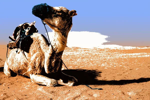 Ilustração. Dromedary Camel senta-se na areia no deserto do Saara, descansando. Imagem De Stock