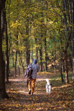 Genç adam Sibirya köpeğiyle sonbahar ormanının ortasında yürüyor. İnsan ve hayvan arkadaşlığı kavramı