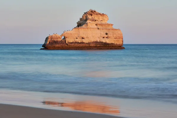 Vápencová Skála Spoustou Racků Sedících Dlouhý Záběr Hladkou Vodou Portimao — Stock fotografie