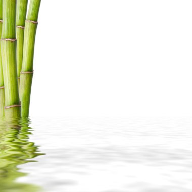 Bambu gövdeleri, spa dekorasyonu.