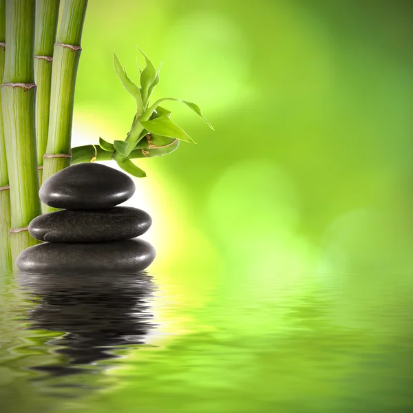 Bambu gövdeleri, spa dekorasyonu.