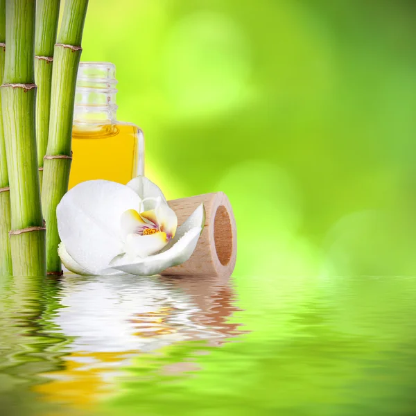 Bambu gövdeleri, spa dekorasyonu. — Stok fotoğraf