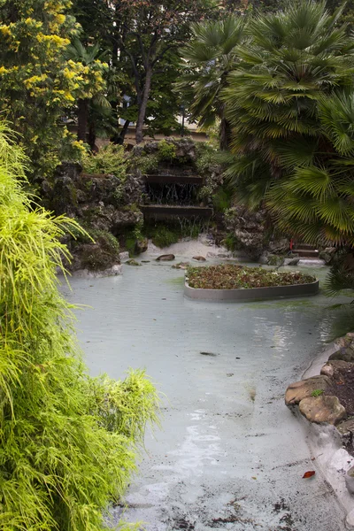 Watervijver in de tuin — Stockfoto