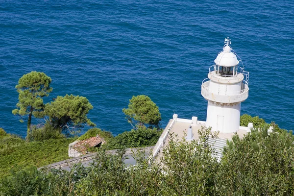 Farol na costa do mar com vegetação — Fotografia de Stock