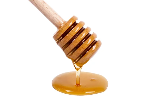 Ape da miele — Foto Stock