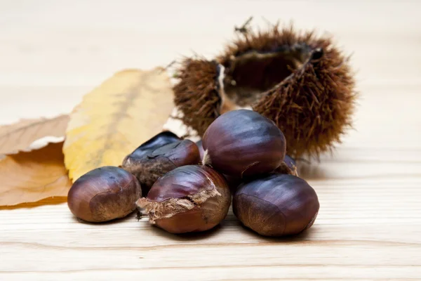 Rostade kastanjer, höstens frukter — Stockfoto