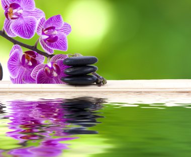 spa konsept