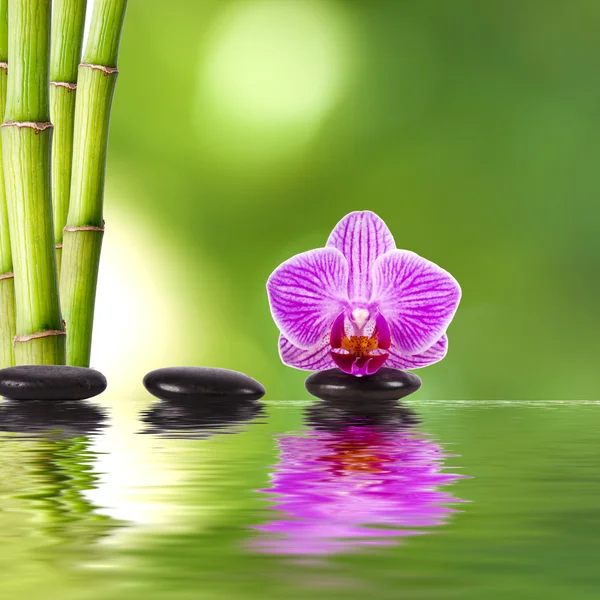 Conceito de spa — Fotografia de Stock