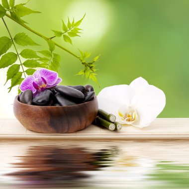 Spa Konsept, arka plan