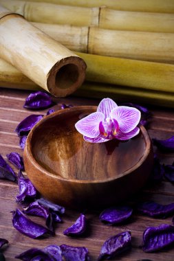 Spa Konsept, arka planlar ve sauna dekorasyon