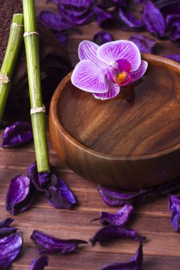 Spa Konsept, arka planlar ve sauna dekorasyon