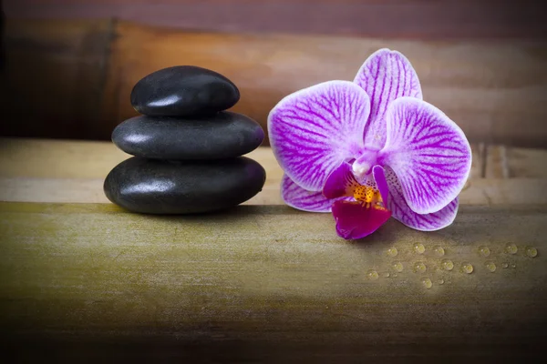 Wellness-Konzept, Hintergründe und Dekoration der Sauna — Stockfoto