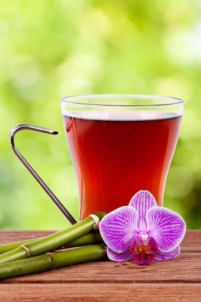 Xícara de chá, ervas bebidas quentes — Fotografia de Stock
