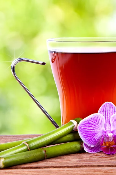 Cup of tea, herbal hot drinks — Stock Photo, Image