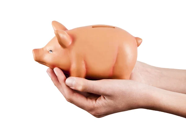 Manos que sostienen alcancía de cerdo rosa, economía y finanzas — Foto de Stock