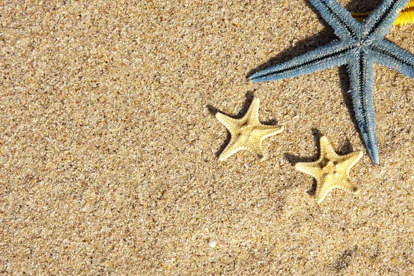 Sfondo estivo con stelle marine — Foto Stock