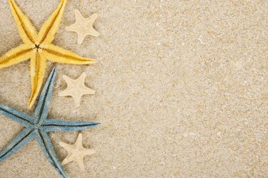 arka plan starfish ve kum