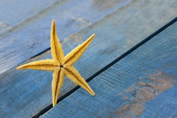 Estrela-do-mar em madeira azul — Fotografia de Stock