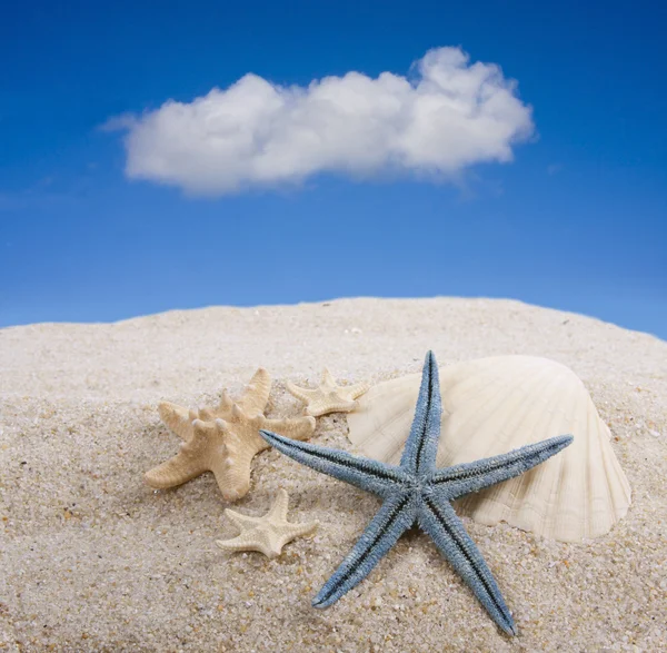 Beach — Stock Photo, Image