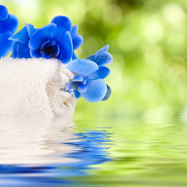 Niebieski ręcznik i naturalnej pielęgnacji storczyków — Zdjęcie stockowe