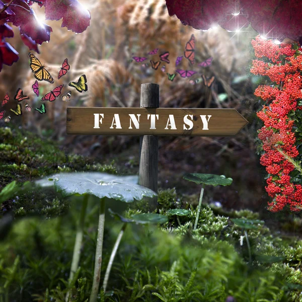 Fantasy — Stock Photo, Image