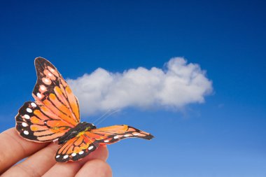 renkli kağıt kelebekler