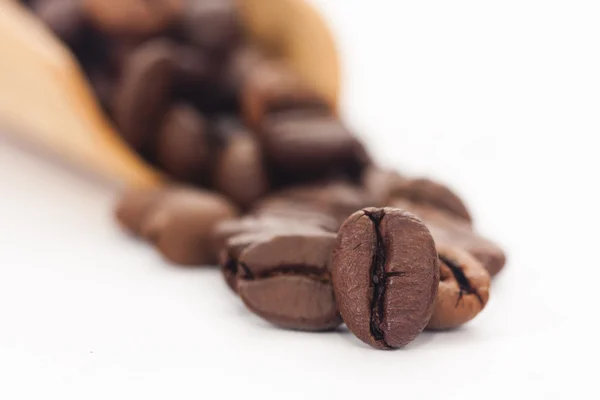 Coffee beans in the foreground — Stock Photo, Image