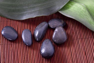 ayrıntı spa dekorasyon