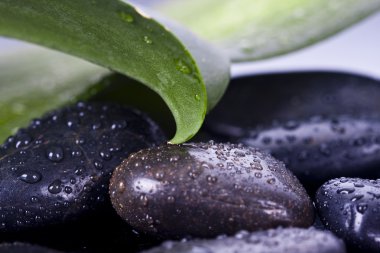 ayrıntı spa dekorasyon