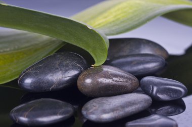 ayrıntı spa dekorasyon