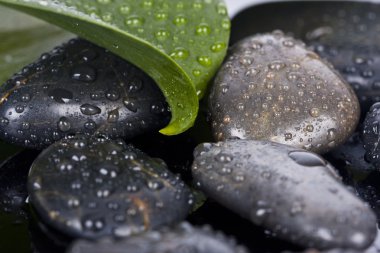 ayrıntı spa dekorasyon