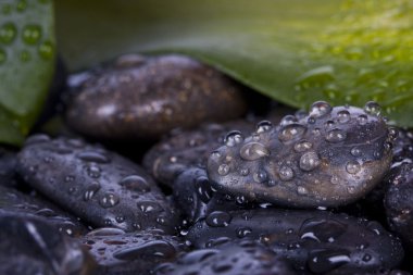 ayrıntı spa dekorasyon