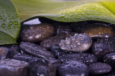 ayrıntı spa dekorasyon