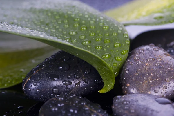 ayrıntı spa dekorasyon