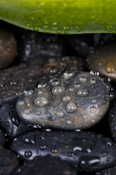 Detail spa decoration — Stock Photo, Image