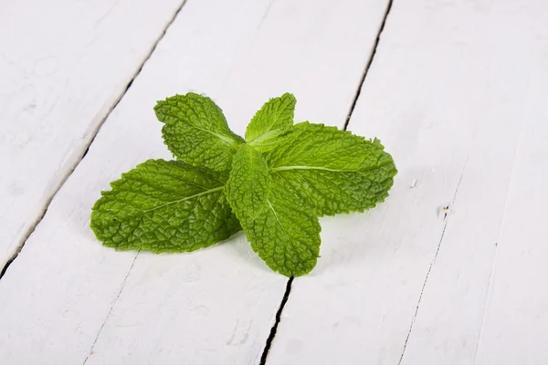 Fresh mint leaves on white wood — Stock Photo, Image