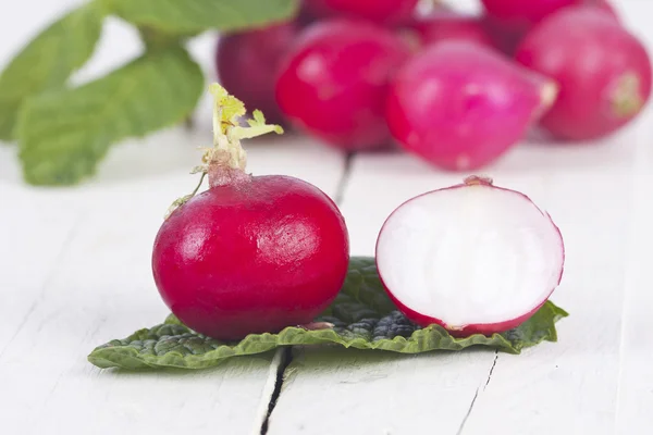 Röda frukter — Stockfoto