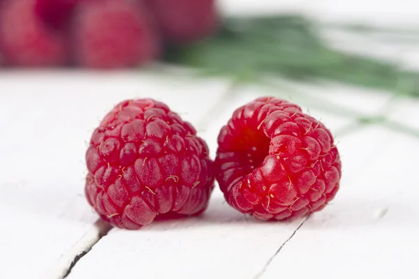 Czerwone owoce — Zdjęcie stockowe