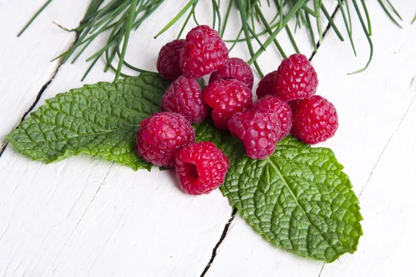 Frutos vermelhos — Fotografia de Stock