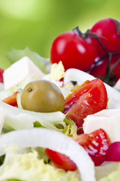 Salat gesund — Stockfoto