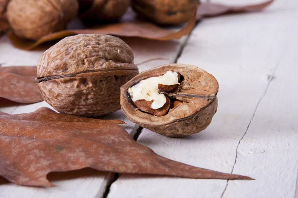 Frutos secos — Foto de Stock