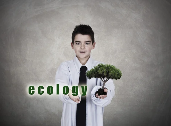 Ecologia — Fotografia de Stock