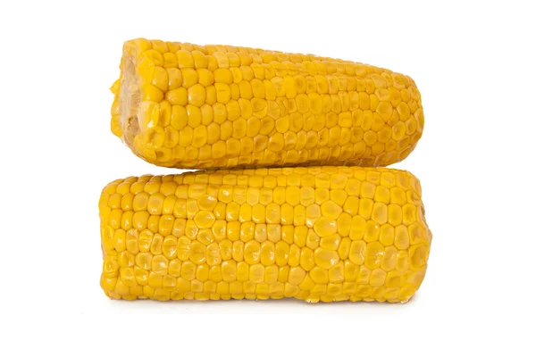 Izolovaná kukuřice — Stock fotografie
