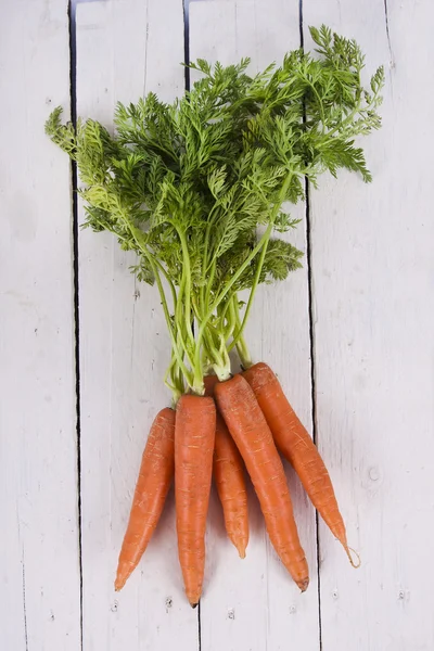 Zanahorias — Foto de Stock