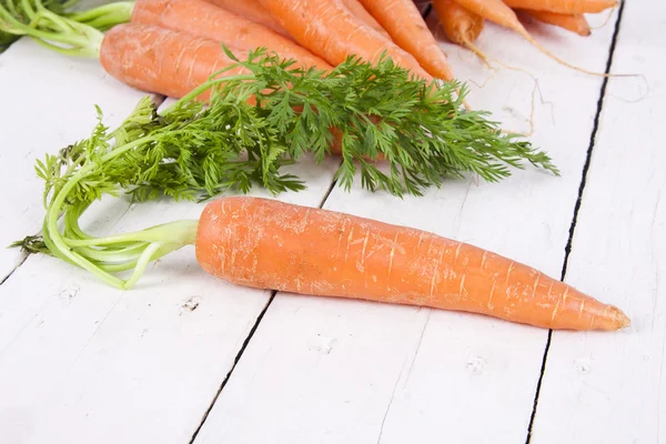 Zanahorias — Foto de Stock