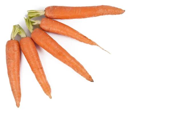 Морковь — стоковое фото