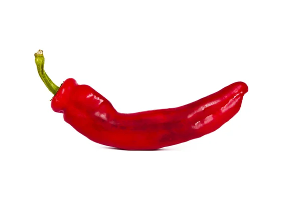 Paprika — Stockfoto